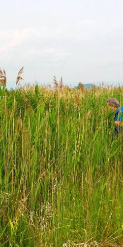 2014 Zachrany raket Jana Míckova